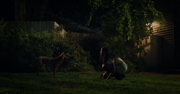 never have i ever, tv show, comedy, drama, season 1, review, netflix