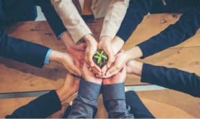 Sustainability in business
