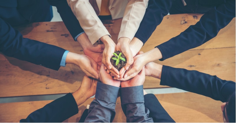 Sustainability in business